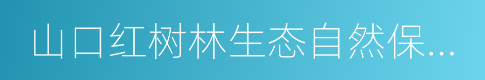 山口红树林生态自然保护区的同义词