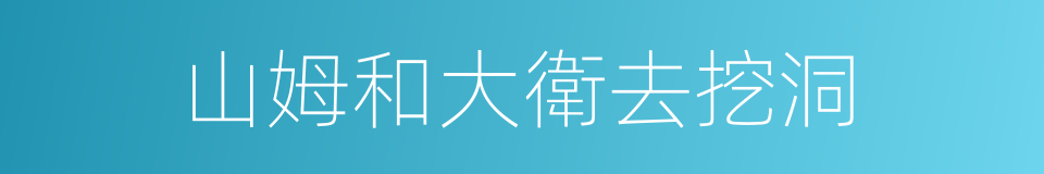 山姆和大衛去挖洞的同義詞