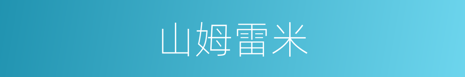 山姆雷米的同义词