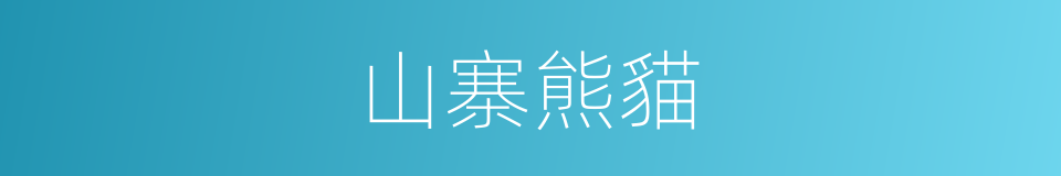 山寨熊貓的同義詞