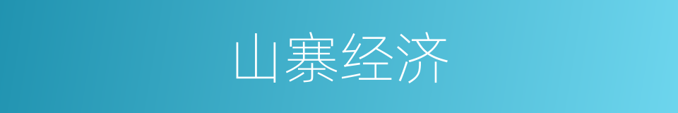 山寨经济的同义词