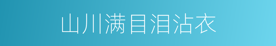 山川满目泪沾衣的同义词