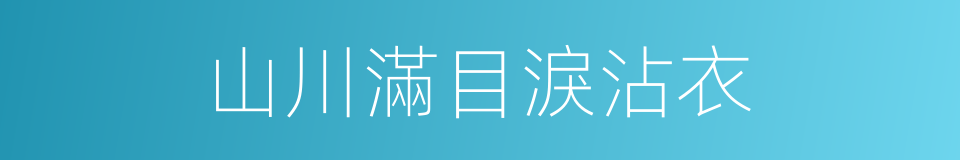 山川滿目淚沾衣的同義詞