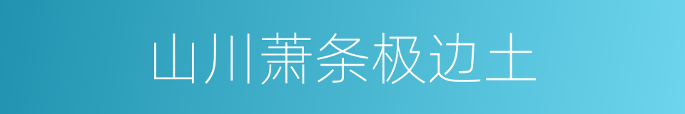 山川萧条极边土的同义词