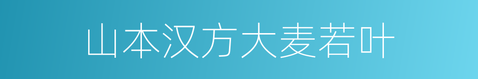 山本汉方大麦若叶的同义词