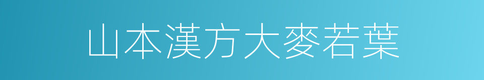 山本漢方大麥若葉的同義詞