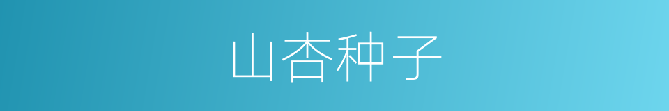 山杏种子的同义词