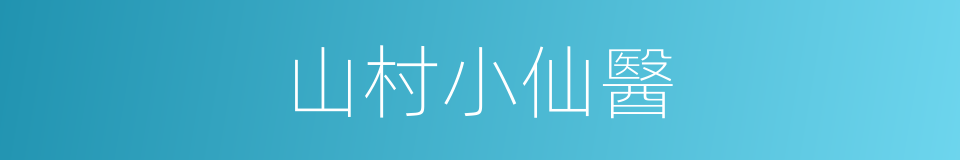 山村小仙醫的同義詞