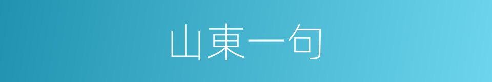 山東一句的同義詞