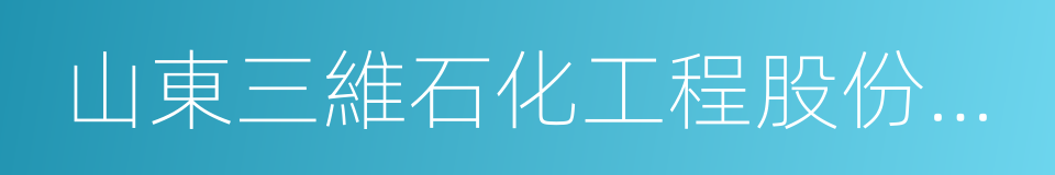 山東三維石化工程股份有限公司的同義詞