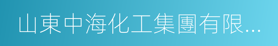 山東中海化工集團有限公司的同義詞