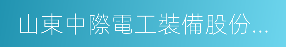 山東中際電工裝備股份有限公司的同義詞