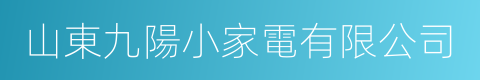 山東九陽小家電有限公司的同義詞