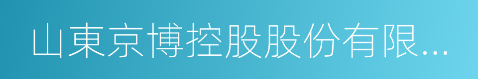 山東京博控股股份有限公司的同義詞