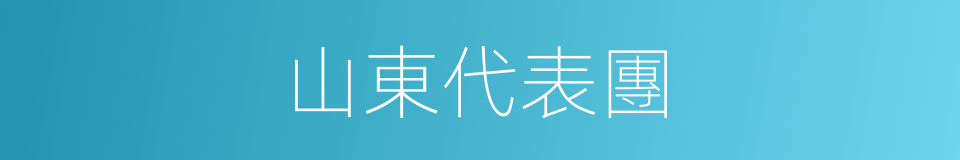 山東代表團的同義詞