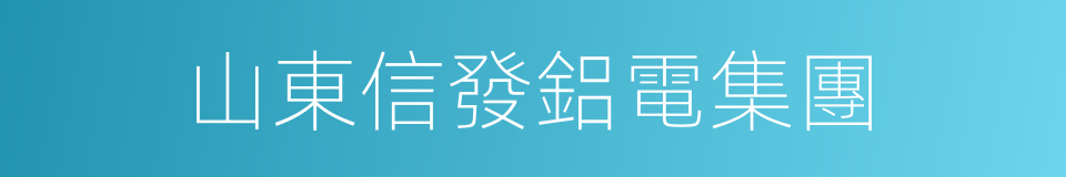 山東信發鋁電集團的同義詞