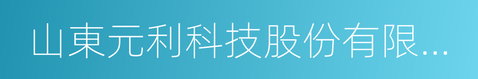 山東元利科技股份有限公司的同義詞