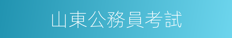 山東公務員考試的同義詞