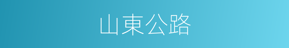 山東公路的同義詞
