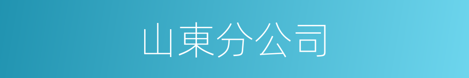 山東分公司的同義詞