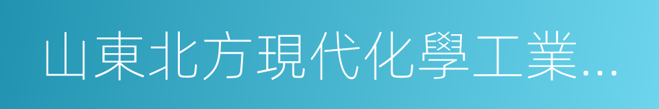 山東北方現代化學工業有限公司的同義詞