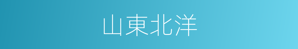 山東北洋的同義詞