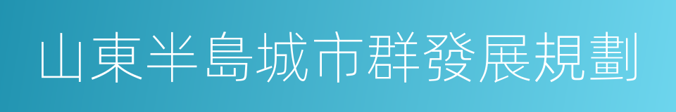 山東半島城市群發展規劃的同義詞