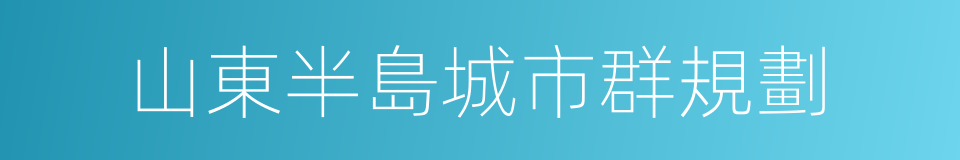 山東半島城市群規劃的同義詞