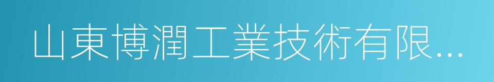 山東博潤工業技術有限公司的同義詞