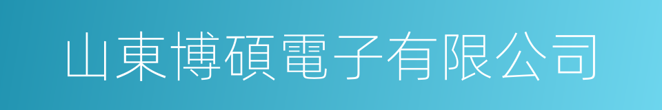 山東博碩電子有限公司的同義詞