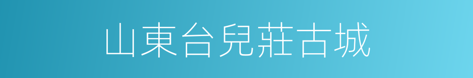 山東台兒莊古城的同義詞