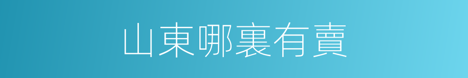 山東哪裏有賣的同義詞
