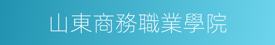 山東商務職業學院的同義詞