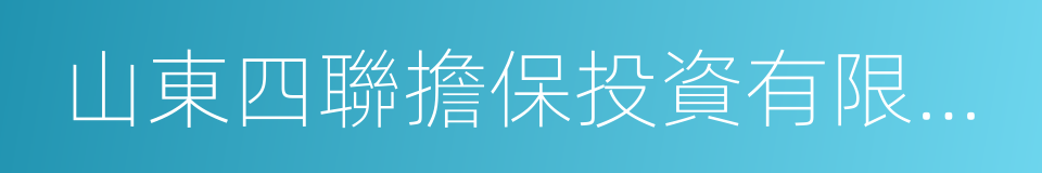 山東四聯擔保投資有限公司的同義詞