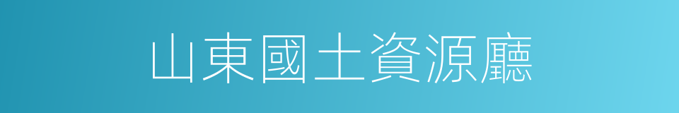 山東國土資源廳的同義詞