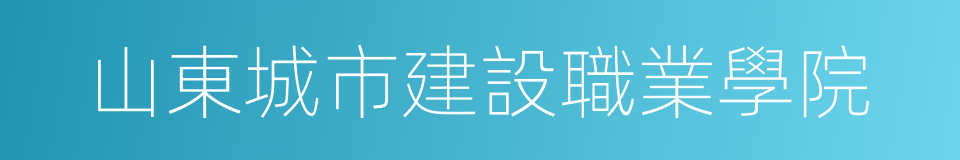 山東城市建設職業學院的同義詞