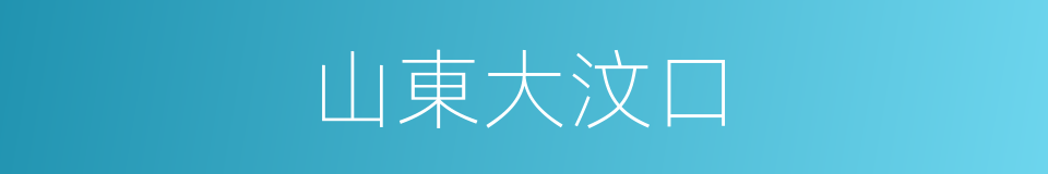 山東大汶口的同義詞