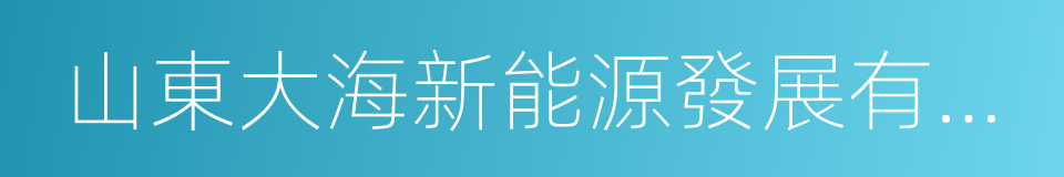 山東大海新能源發展有限公司的同義詞