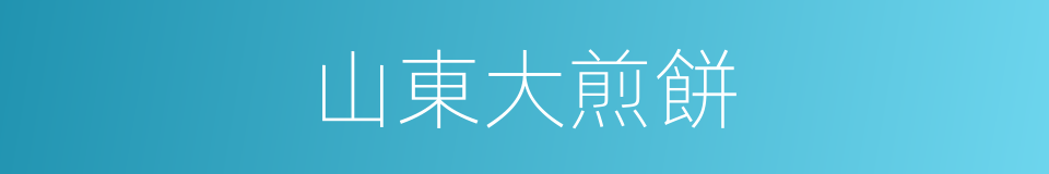 山東大煎餅的同義詞
