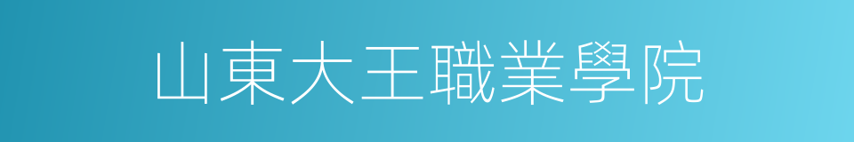 山東大王職業學院的同義詞