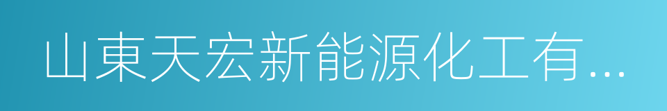 山東天宏新能源化工有限公司的同義詞