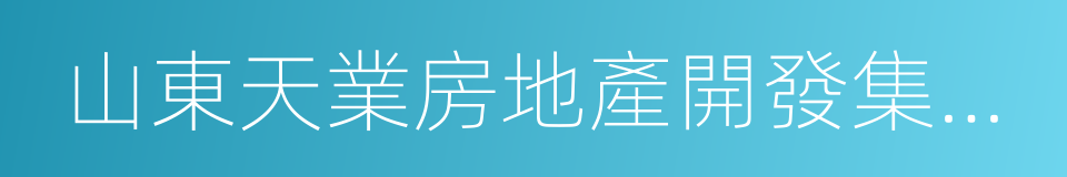 山東天業房地產開發集團有限公司的同義詞