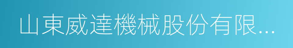 山東威達機械股份有限公司的同義詞