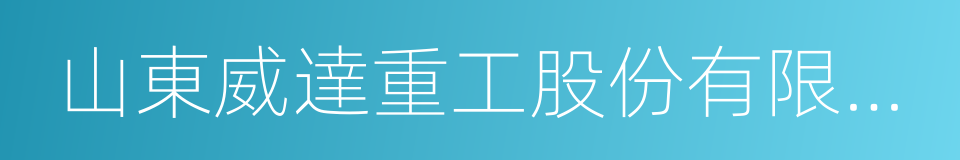 山東威達重工股份有限公司的同義詞