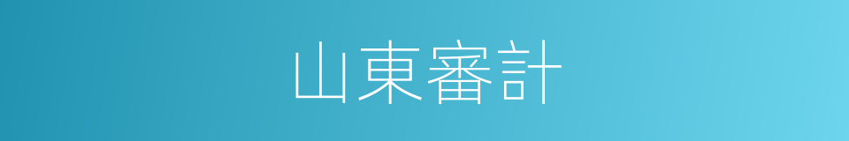 山東審計的同義詞