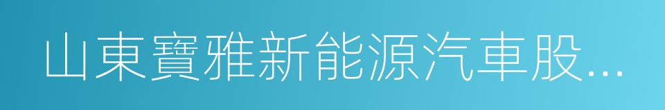 山東寶雅新能源汽車股份有限公司的同義詞