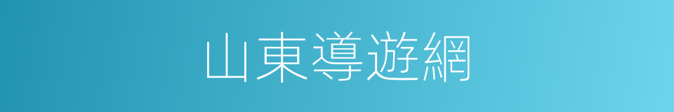 山東導遊網的同義詞