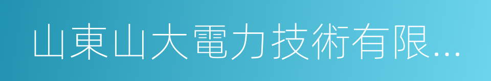 山東山大電力技術有限公司的同義詞