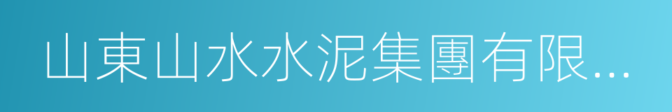 山東山水水泥集團有限公司的同義詞