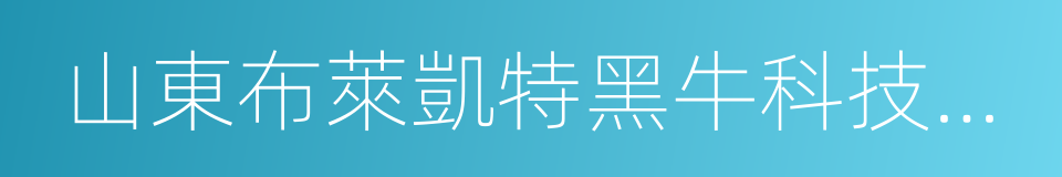 山東布萊凱特黑牛科技股份有限公司的同義詞